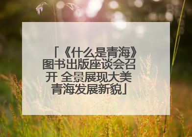 《什么是青海》图书出版座谈会召开 全景展现大美青海发展新貌