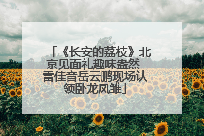 《长安的荔枝》北京见面礼趣味盎然 雷佳音岳云鹏现场认领卧龙凤雏