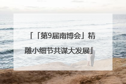 「第9届南博会」精雕小细节共谋大发展