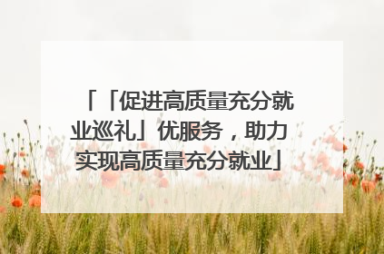 「促进高质量充分就业巡礼」优服务，助力实现高质量充分就业