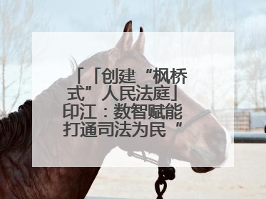 「创建“枫桥式”人民法庭」印江：数智赋能打通司法为民“最后一公里”