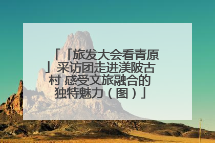 「旅发大会看青原」采访团走进渼陂古村 感受文旅融合的独特魅力（图）