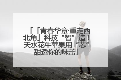 「青春华章·重走西北角」科技“智”造！天水花牛苹果用“芯”甜透你的味蕾
