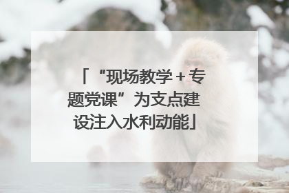 “现场教学＋专题党课”为支点建设注入水利动能