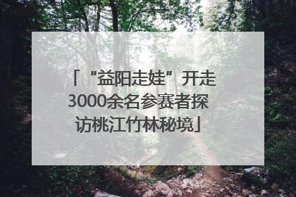 “益阳走娃”开走 3000余名参赛者探访桃江竹林秘境
