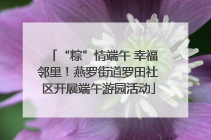 “粽”情端午 幸福邻里！燕罗街道罗田社区开展端午游园活动
