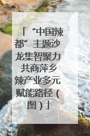 “中国辣都”主题沙龙集智聚力 共商萍乡辣产业多元赋能路径（图）