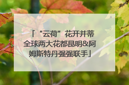 “云荷”花开并蒂 全球两大花都昆明&阿姆斯特丹强强联手
