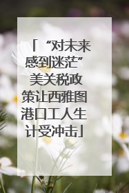 “对未来感到迷茫” 美关税政策让西雅图港口工人生计受冲击