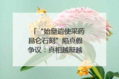 “始皇遣使采药昆仑石刻”陷真假争议：真相越辩越明｜新京报专栏