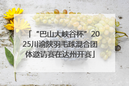 “巴山大峡谷杯”2025川渝陕羽毛球混合团体邀请赛在达州开赛