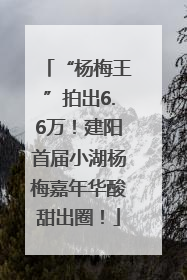 “杨梅王”拍出6.6万！建阳首届小湖杨梅嘉年华酸甜出圈！