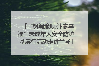 “枫调豫顺·汴家幸福”未成年人安全防护基层行活动走进兰考