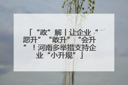 “政”解丨让企业“愿升”“敢升”“会升”！河南多举措支持企业“小升规”