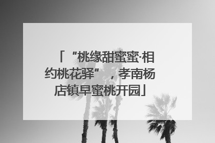 “桃缘甜蜜蜜·相约桃花驿”，孝南杨店镇早蜜桃开园