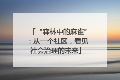 “森林中的麻雀”：从一个社区，看见社会治理的未来