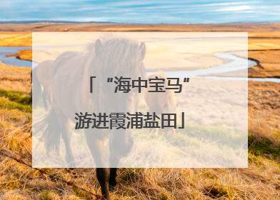 “海中宝马”游进霞浦盐田