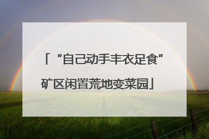 “自己动手丰衣足食”矿区闲置荒地变菜园