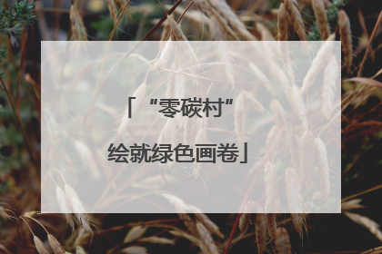 “零碳村” 绘就绿色画卷