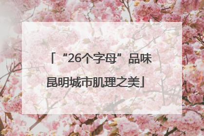 “26个字母”品味昆明城市肌理之美