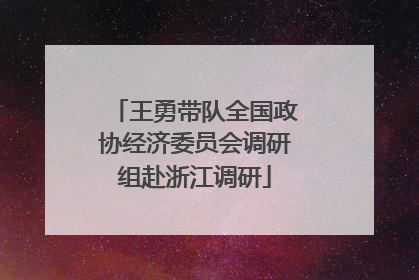 王勇带队全国政协经济委员会调研组赴浙江调研