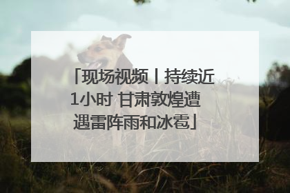 现场视频丨持续近1小时 甘肃敦煌遭遇雷阵雨和冰雹