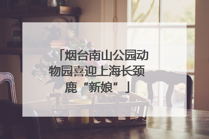 烟台南山公园动物园喜迎上海长颈鹿“新娘”