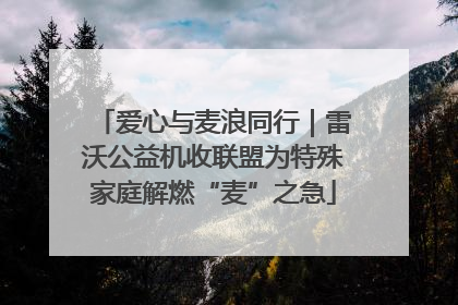 爱心与麦浪同行｜雷沃公益机收联盟为特殊家庭解燃“麦”之急