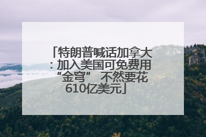 特朗普喊话加拿大：加入美国可免费用“金穹” 不然要花610亿美元