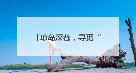 琼岛深巷，寻觅“包罗万象”的甜