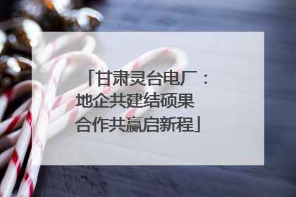甘肃灵台电厂：地企共建结硕果 合作共赢启新程