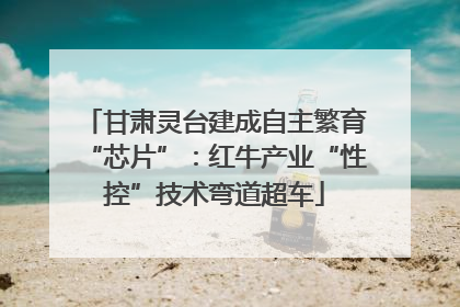 甘肃灵台建成自主繁育“芯片”：红牛产业“性控”技术弯道超车