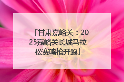 甘肃嘉峪关：2025嘉峪关长城马拉松赛鸣枪开跑