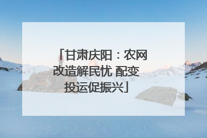 甘肃庆阳：农网改造解民忧 配变投运促振兴