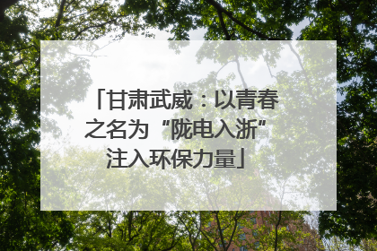 甘肃武威：以青春之名为“陇电入浙”注入环保力量