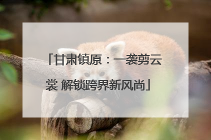 甘肃镇原：一袭剪云裳 解锁跨界新风尚