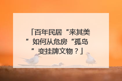 百年民居“来其美”如何从危房“孤岛”变挂牌文物？