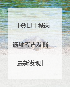 登封王城岗遗址考古发掘最新发现