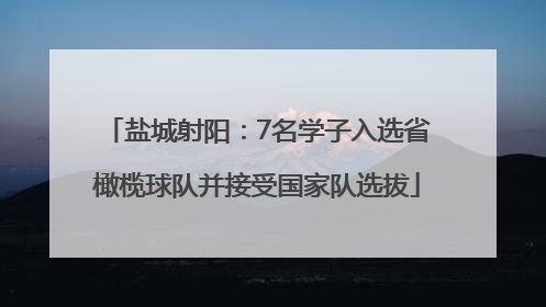盐城射阳：7名学子入选省橄榄球队并接受国家队选拔