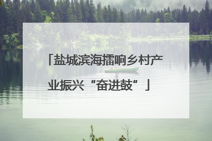 盐城滨海擂响乡村产业振兴“奋进鼓”