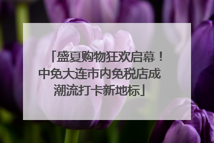 盛夏购物狂欢启幕！中免大连市内免税店成潮流打卡新地标