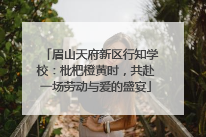 眉山天府新区行知学校：枇杷橙黄时，共赴一场劳动与爱的盛宴
