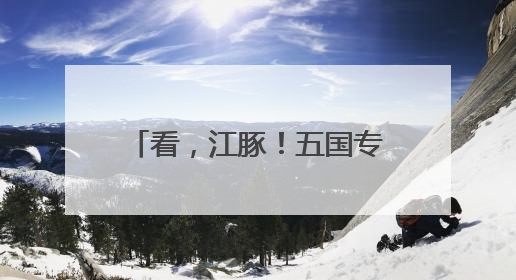 看，江豚！五国专家南京江边考察邂逅“微笑天使”