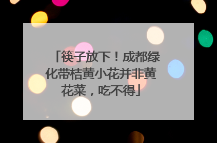 筷子放下！成都绿化带桔黄小花并非黄花菜，吃不得