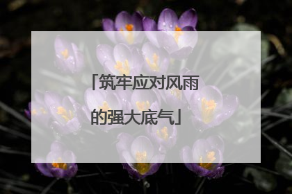 筑牢应对风雨的强大底气