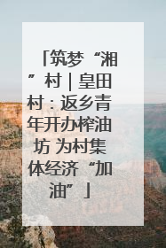 筑梦“湘”村｜皇田村：返乡青年开办榨油坊 为村集体经济“加油”