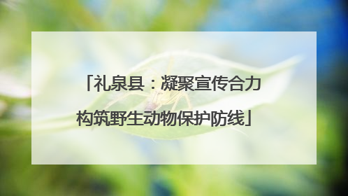 礼泉县：凝聚宣传合力构筑野生动物保护防线