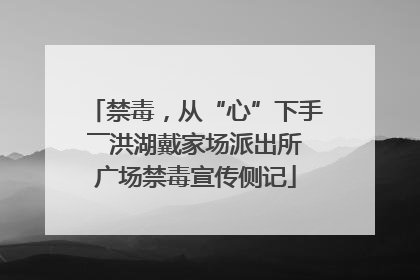 禁毒，从“心”下手――洪湖戴家场派出所广场禁毒宣传侧记