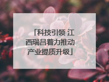 科技引领 江西瑞昌着力推动产业提质升级