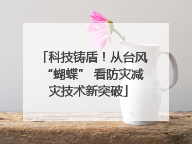 科技铸盾！从台风“蝴蝶” 看防灾减灾技术新突破